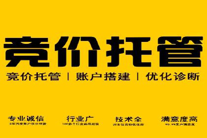 体育赛事宣传中的SEM托管服务：从策划到执行